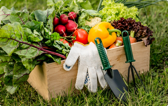 Sustainability